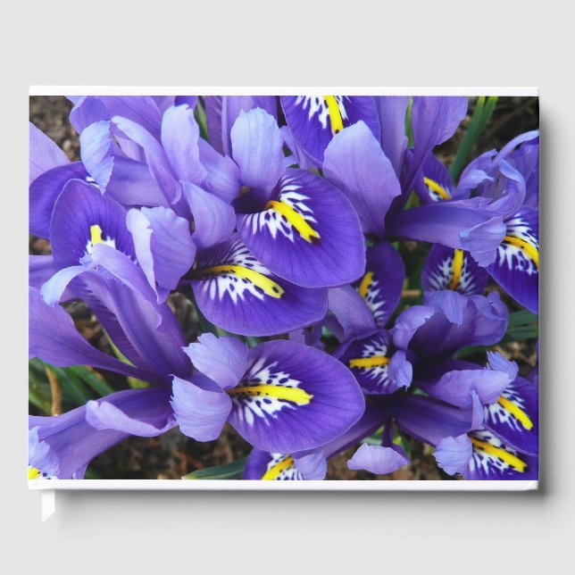 Miniature Blue Irises Spring Floral Guest Book (Front)