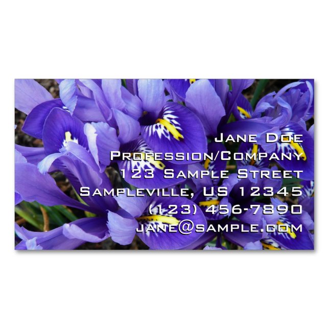 Miniature Blue Irises Spring Floral Magnetic Business Card (Front)
