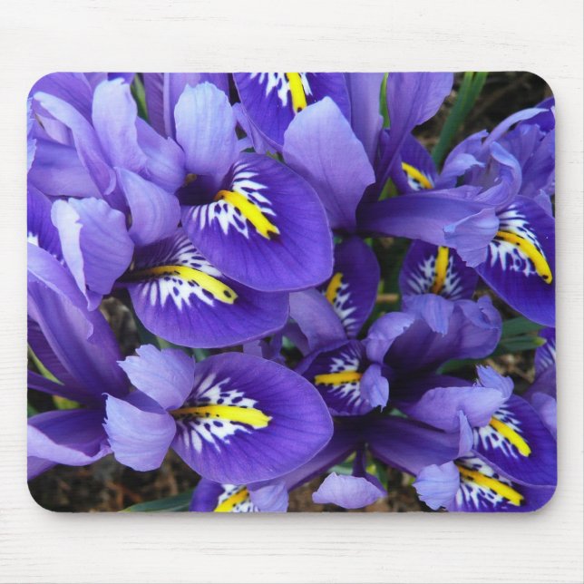 Miniature Blue Irises Spring Floral Mouse Mat (Front)