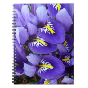 Miniature Blue Irises Spring Floral Notebook