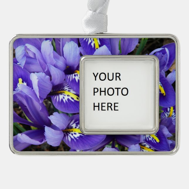 Miniature Blue Irises Spring Floral Silver Plated Framed Ornament (Front)