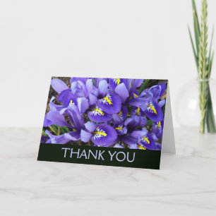Miniature Blue Irises Thank You Card
