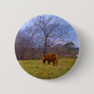 Miniature brown horse blustery sky 6 cm round badge