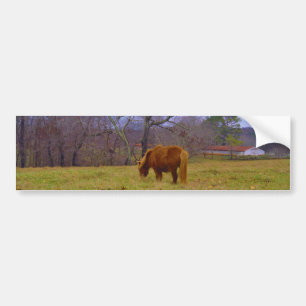 Miniature brown horse blustery sky bumper sticker