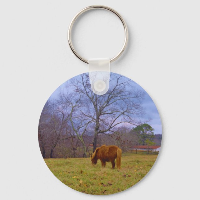 Miniature brown horse blustery sky key ring (Front)