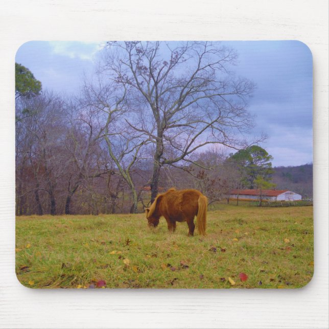 Miniature brown horse blustery sky mouse mat (Front)