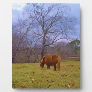 Miniature brown horse blustery sky plaque