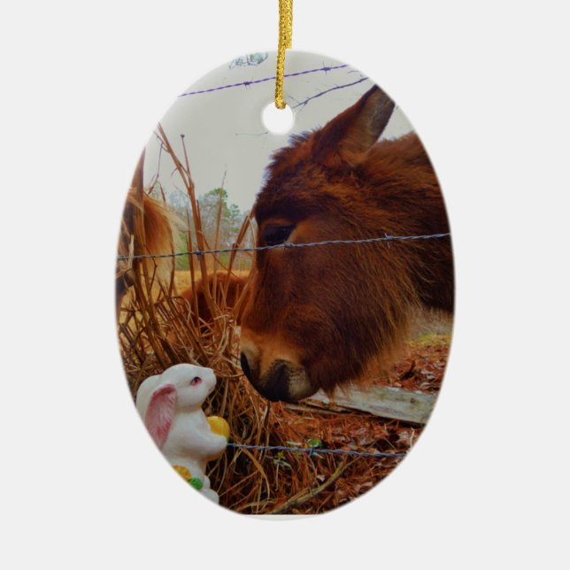 Miniature Brown horse & Easter Bunny Ceramic Tree Decoration (Front)