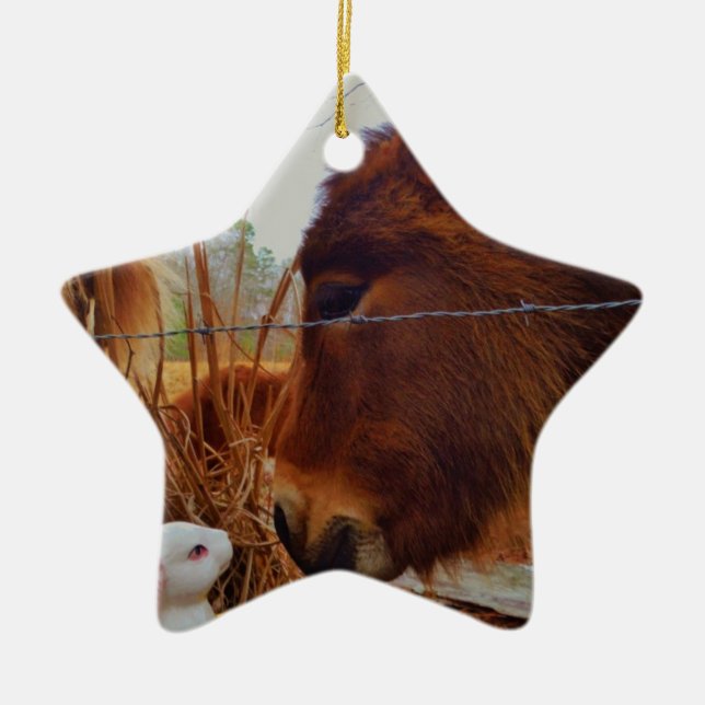 Miniature Brown horse & Easter Bunny Ceramic Tree Decoration (Front)
