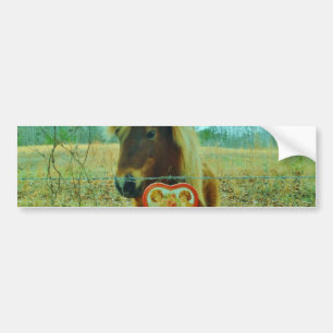 Miniature Brown horse Valentine Heart Bumper Sticker
