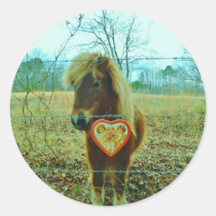 Miniature Brown horse Valentine Heart Classic Round Sticker