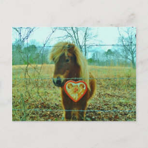 Miniature Brown horse Valentine Heart Holiday Postcard