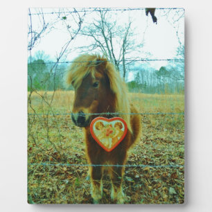 Miniature Brown horse Valentine Heart Plaque