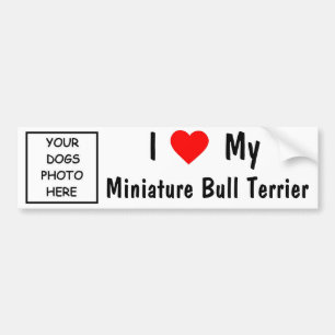 Miniature Bull Terrier Bumper Sticker