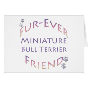 Miniature Bull Terrier Furever
