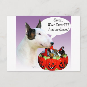 Miniature Bull Terrier Halloween Candy Postcard