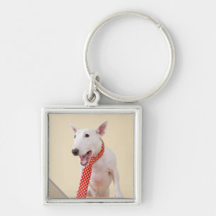 Miniature Bull Terrier looking at laptop, Key Ring