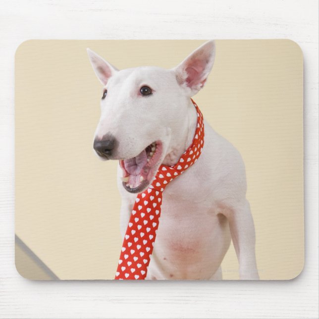 Miniature Bull Terrier looking at laptop, Mouse Mat (Front)