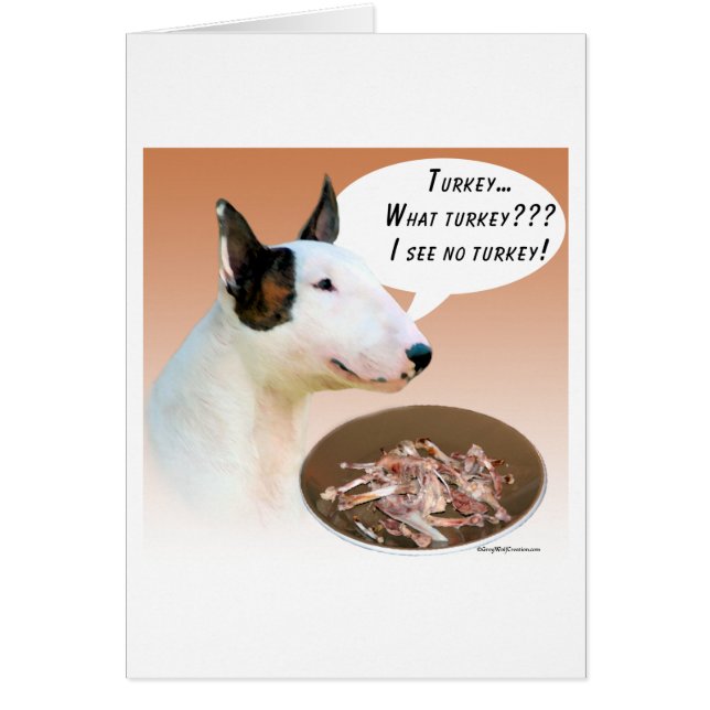 Miniature Bull Terrier Turkey (Front)