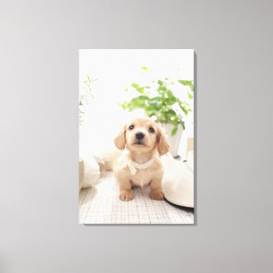 Miniature Dachshund Canvas Print