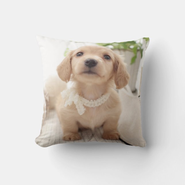 Miniature Dachshund Cushion (Front)