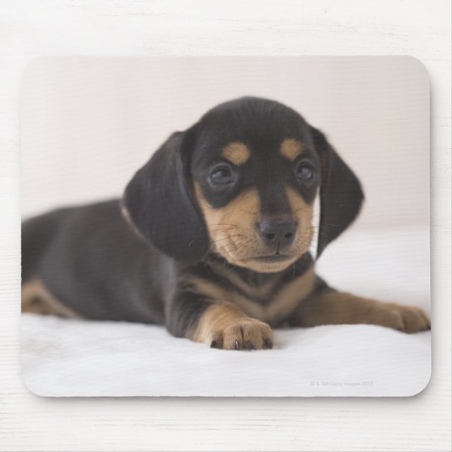 Miniature Dachshund Mouse Mat (Front)