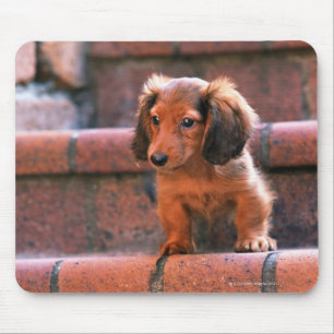 Miniature Dachshund Mouse Mat