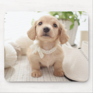 Miniature Dachshund Mouse Mat