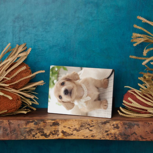 Miniature Dachshund Plaque (Side)