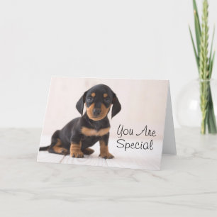 Miniature Dachshund Sitting Card