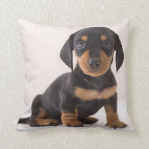 Miniature Dachshund Sitting Cushion