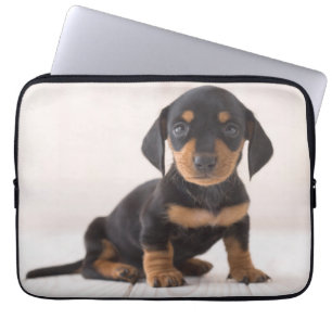 Miniature Dachshund Sitting Laptop Sleeve