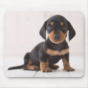 Miniature Dachshund Sitting Mouse Mat