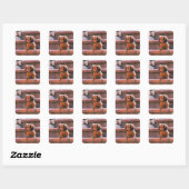 Miniature Dachshund Square Sticker (Sheet)