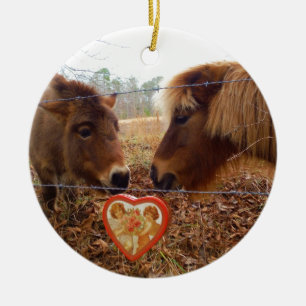 Miniature Donkey & Horse Valentine Heart Ceramic Tree Decoration