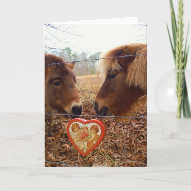 Miniature Donkey & Horse Valentine Heart Holiday Card (Front)