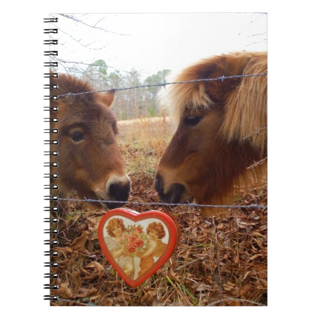 Miniature Donkey & Horse Valentine Heart Notebook (Front)