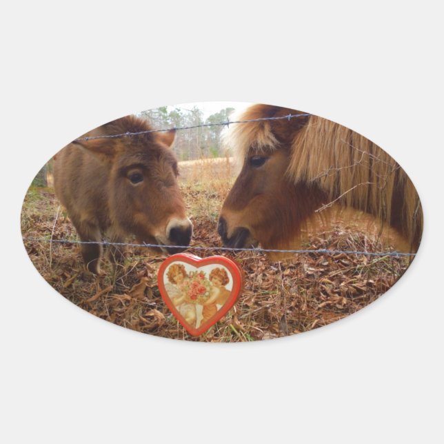 Miniature Donkey & Horse Valentine Heart Oval Sticker (Front)