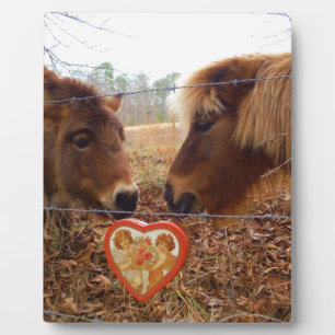 Miniature Donkey & Horse Valentine Heart Plaque