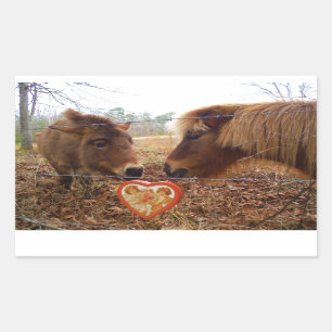 Miniature Donkey & Horse Valentine Heart Rectangular Sticker