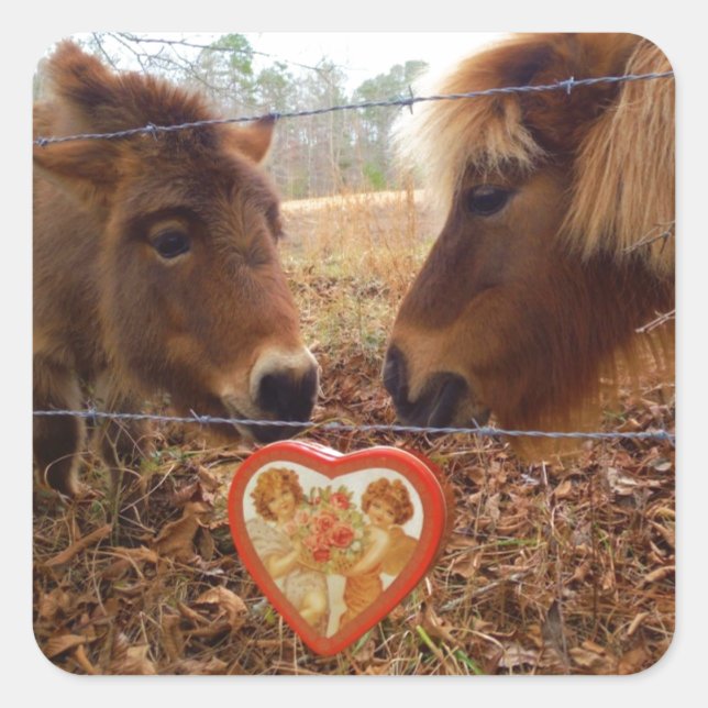 Miniature Donkey & Horse Valentine Heart Square Sticker (Front)