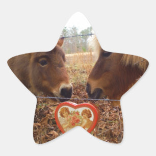 Miniature Donkey & Horse Valentine Heart Star Sticker