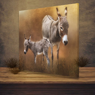 Miniature Donkey with Colt Canvas Print