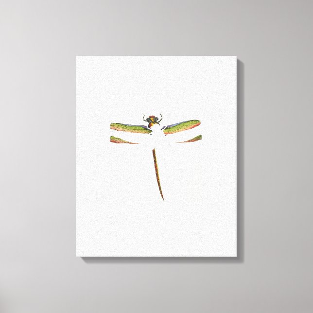 Miniature Dragonfly on White Background Canvas Print (Front)