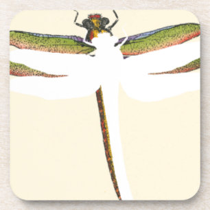 Miniature Dragonfly on White Background Coaster