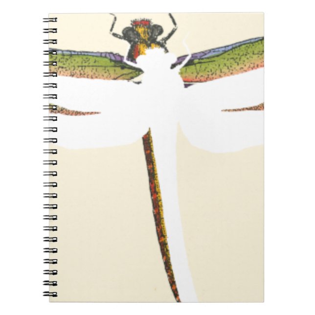 Miniature Dragonfly on White Background Notebook (Front)