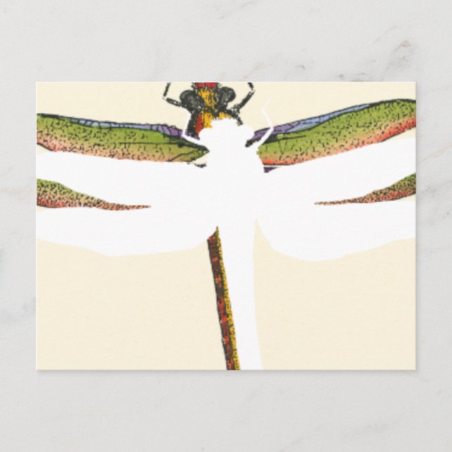 Miniature Dragonfly on White Background Postcard (Front)