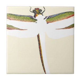 Miniature Dragonfly on White Background Tile