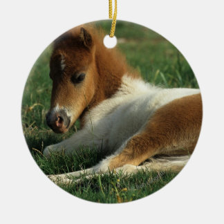 Miniature Foal Laying Down Ceramic Tree Decoration