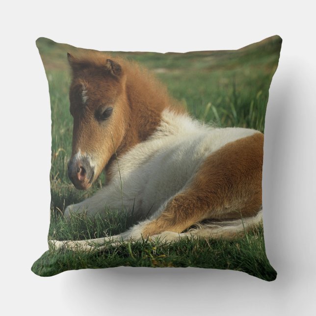 Miniature Foal Laying Down Cushion (Front)